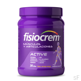 Fisiocrem Active Músculos y Articulaciones Colágeno 540 g
